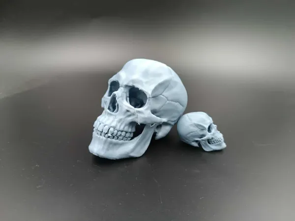 https://makerworld.bblmw.com/makerworld/model/US5af0b0a6f148f2/design/2025-08-15_1a2a4bb83bef38.jpg