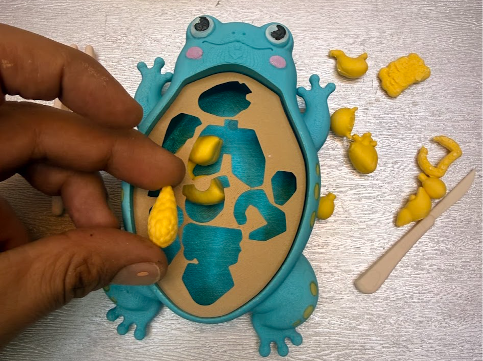 The disection frog . kids game