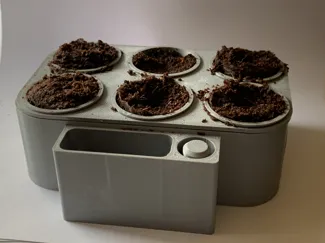 Another Selfwatering Seed Starter