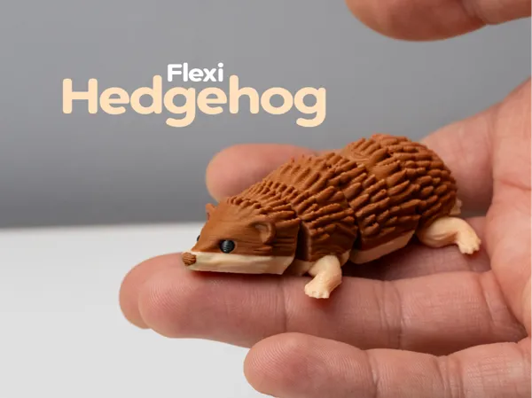 https://makerworld.bblmw.com/makerworld/model/US5afd75942b4067/design/f2a98507965968da.jpeg