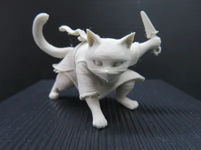 Guardian Ninja Cat