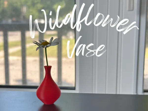 https://makerworld.bblmw.com/makerworld/model/US5b00ed879b82a6/design/2024-07-29_e05b5f0c36cb2.png