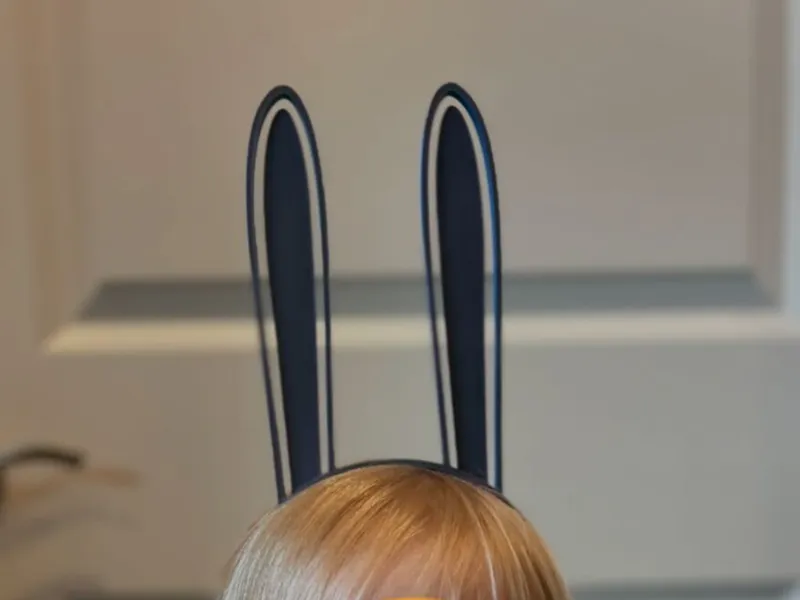 Bunny Ear Headband 