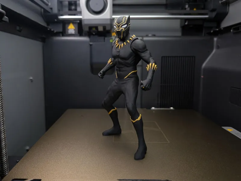 Black Panther Multicolor