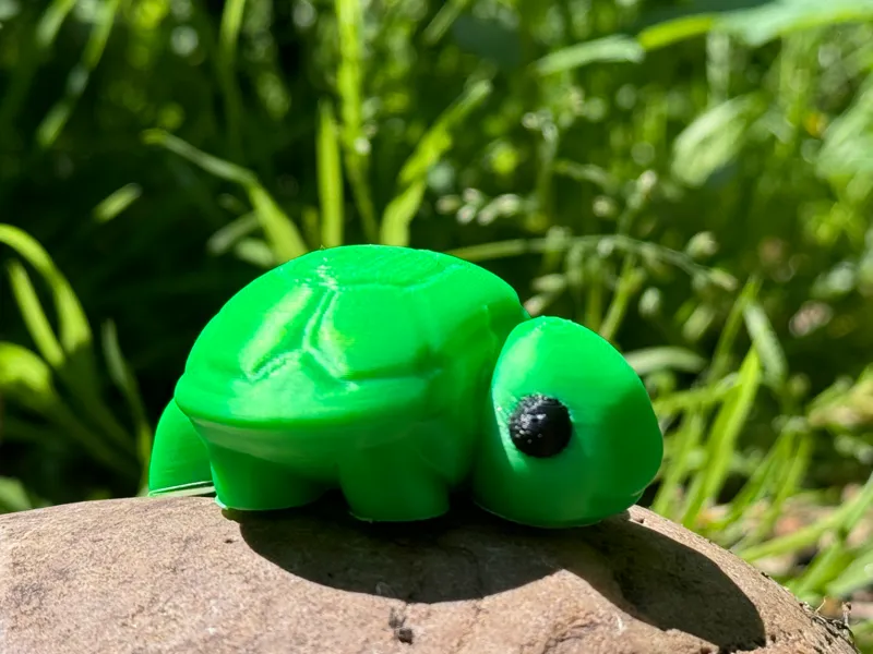 Baby turtle flexi