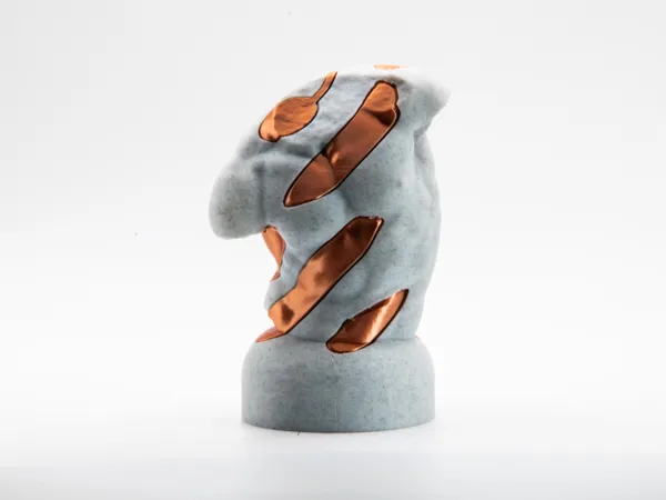 https://makerworld.bblmw.com/makerworld/model/US5b03a64399bd07/design/2024-10-21_04bd28099023b.jpg