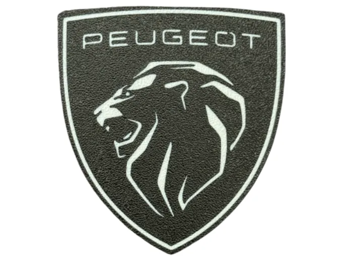Peugeot coaster