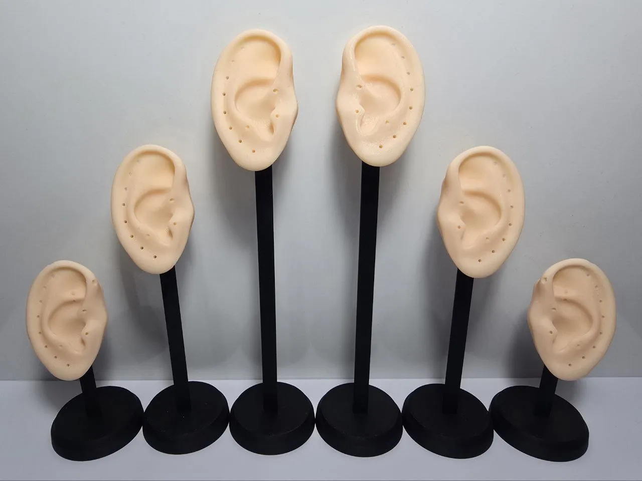 Earring & Piercing Modular Lab Stand view 2