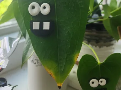 Plant buddy EMOJI
