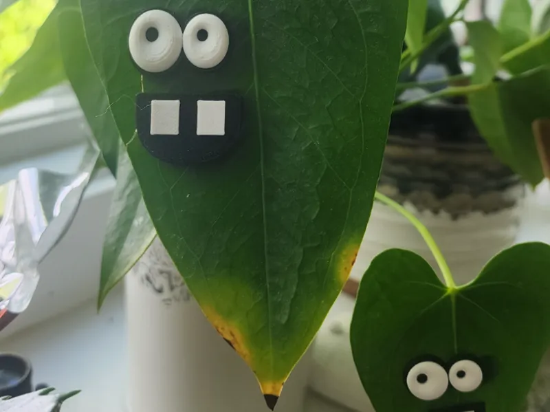 Plant buddy EMOJI