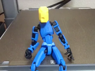 Cheese Head For Dummy 13