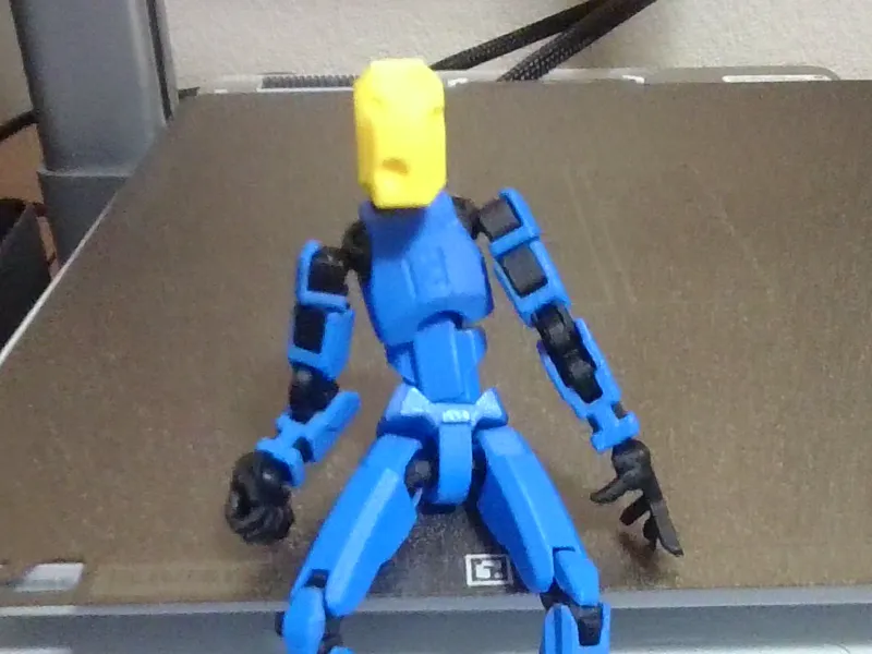 Cheese Head For Dummy 13