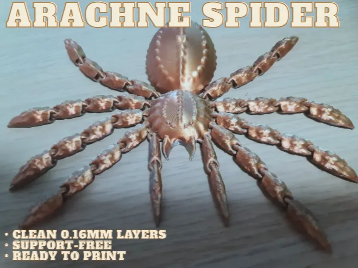 Arachne Spider