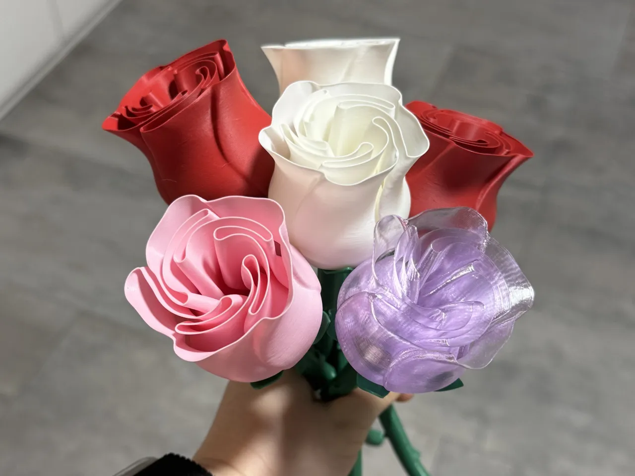 Beautiful Rose w Stem - International Woman’s Day view 2