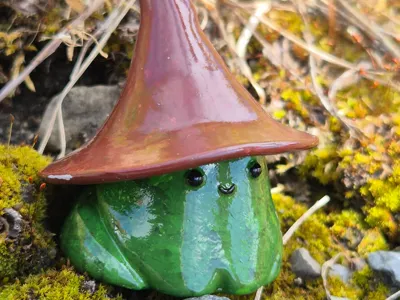 Bean the frog