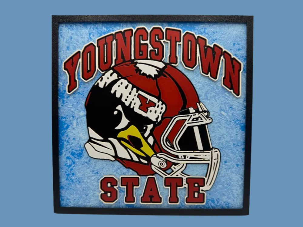 Youngstown State Penguins - NCAA