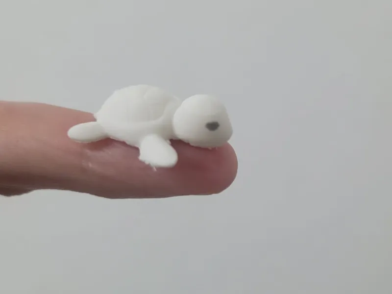 mini turtle