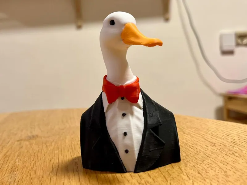 Duck in a suit