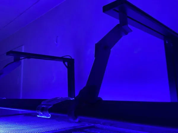 https://makerworld.bblmw.com/makerworld/model/US5b2ef72b60c2e3/design/2025-11-10_bb8d3920ff1848.jpg
