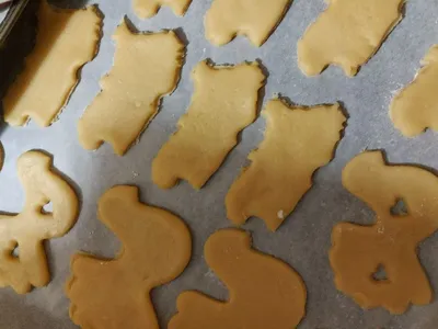 Sardinian cookie cutter