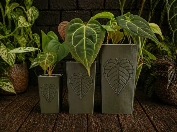 https://makerworld.bblmw.com/makerworld/model/US5b38a3b47f9b27/design/669fc5e6e1358970.png