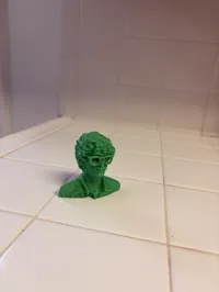 20 Forsbys... 0.24mm layer, 2 walls, 15% infill