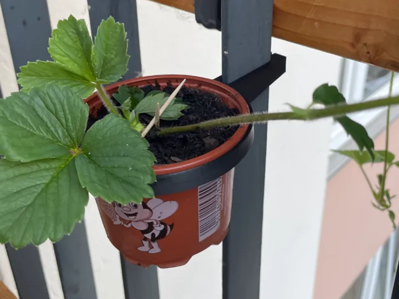 Flower Pot Holder for Balcony Railings