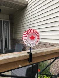 Canada cap - 0.16mm layer, 6 walls, 100% infill