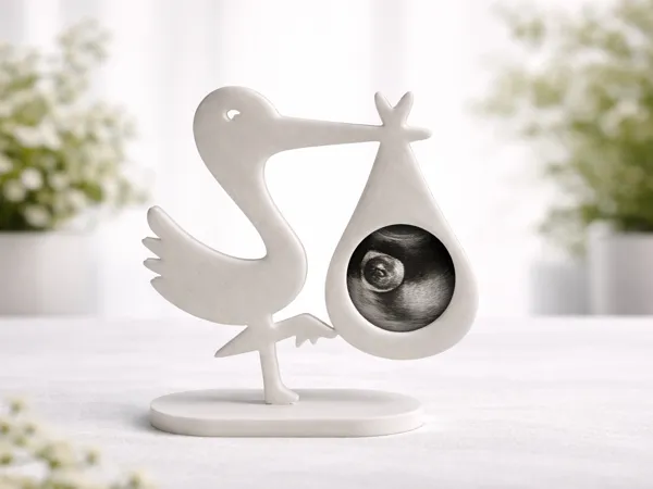 https://makerworld.bblmw.com/makerworld/model/US5b41875e725a9e/design/9f4188068fe0b8f4.png