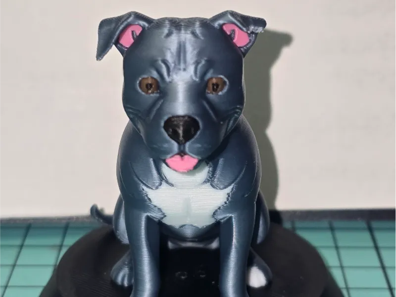 Pitbull Blue