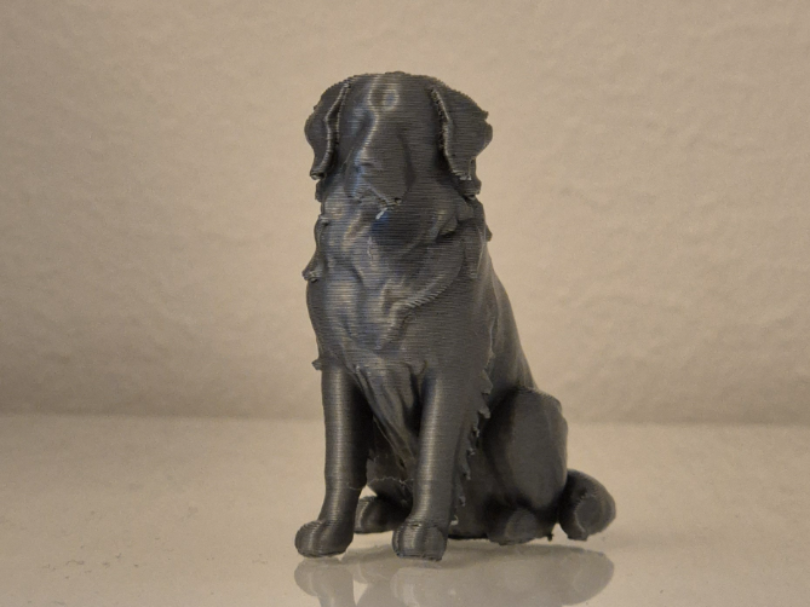 Bernese Mountain Dog – 3D Printable Dog Statue