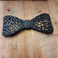 Nœud papillon original — photo 5
