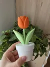 0.24mm layer, 2 walls, 7% infill