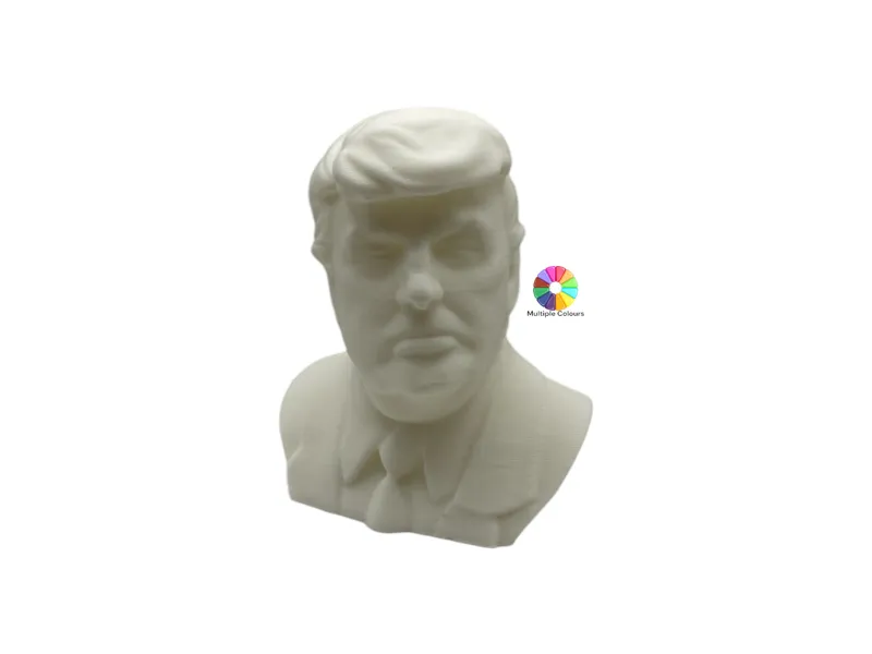 Donald Trump bust - 3 Sizes 