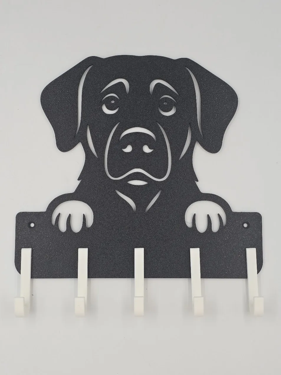 Dog Leash & Collar Holder, Rhodesian Ridgeback by EvenAlmenning ...