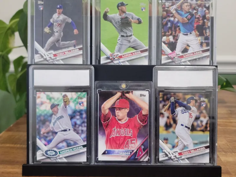 Sports and Trading Card Display 