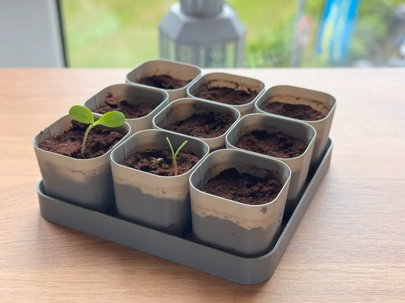 Multi size Organizer Trays for Seed Starter Pot