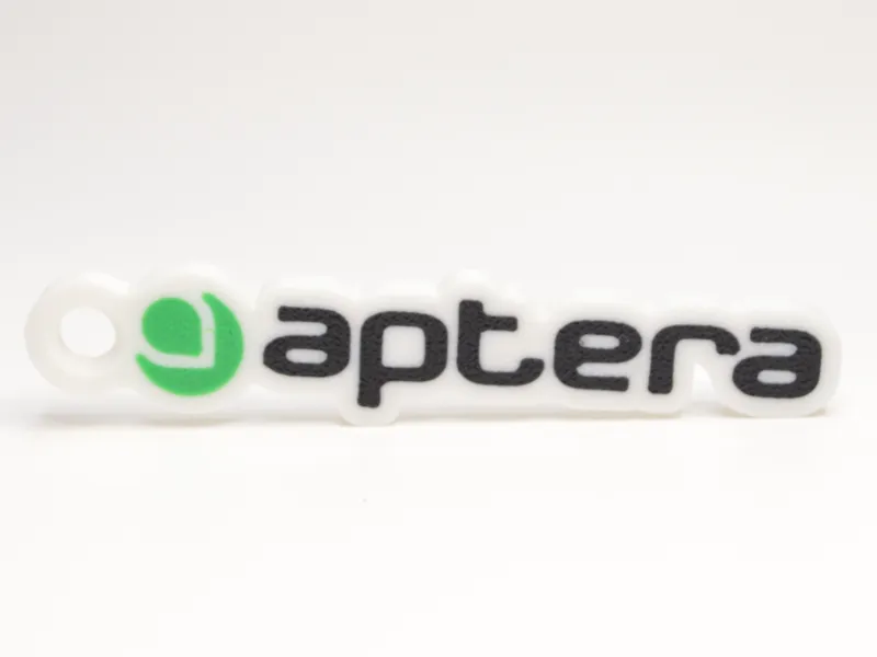 Aptera Keychain - Multicolour