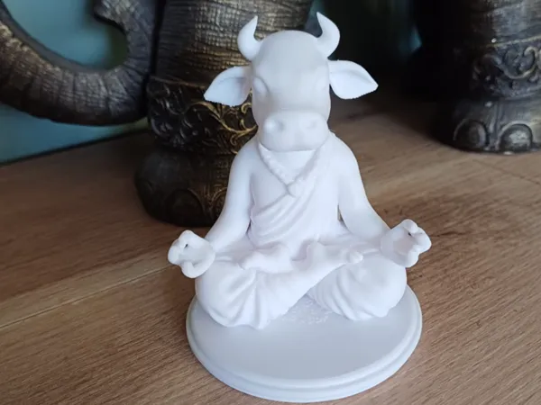 https://makerworld.bblmw.com/makerworld/model/US5b5d729cf72fb5/design/2025-05-16_709f7b7b6d8788.jpg