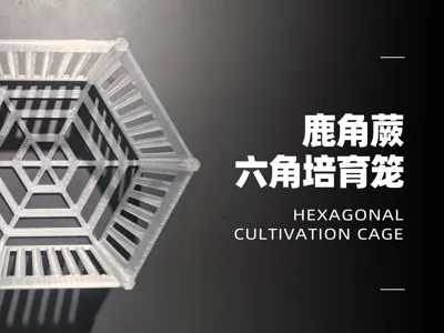 Staghorn Fern Hexagonal Cage Cultivation Cage Openwork Box