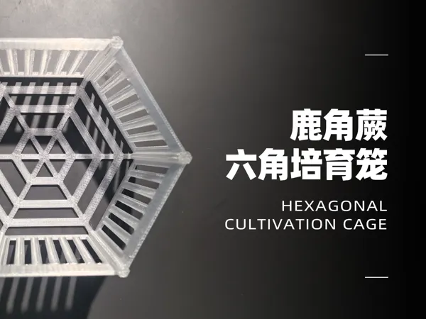 https://makerworld.bblmw.com/makerworld/model/US5b61e94c69226a/design/2025-04-08_a4b1a9bf88892.jpg
