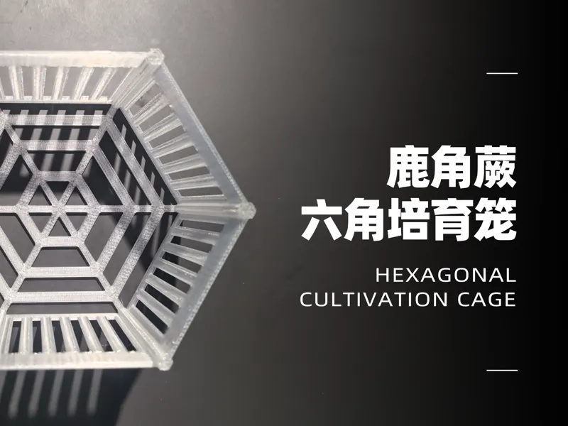 鹿角蕨 六角笼 培育笼 镂空盒子 