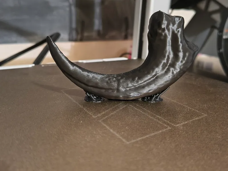 Velociraptor claw