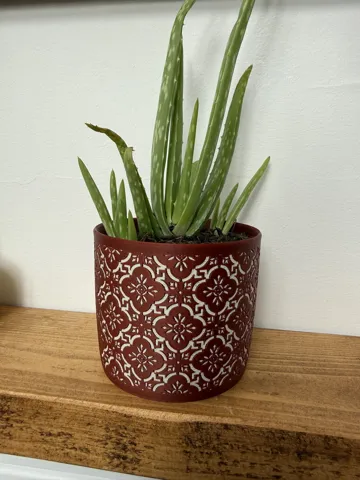 Maceta decorativa: The Cavendish Indoor plant pot Victorian inspired — vista de referencia 4