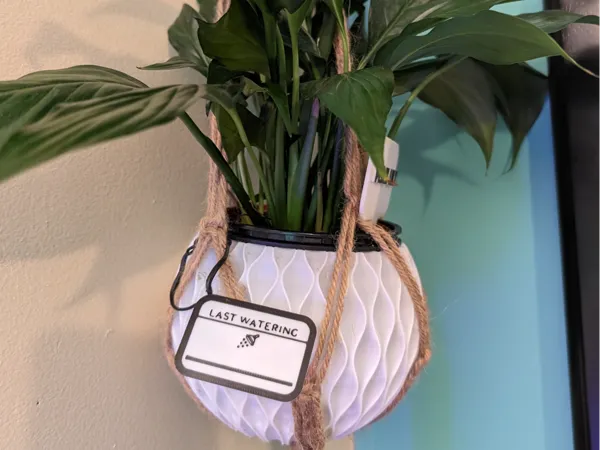 https://makerworld.bblmw.com/makerworld/model/US5b758a873dd62a/design/2024-06-05_3e54b97ea9df7.jpg