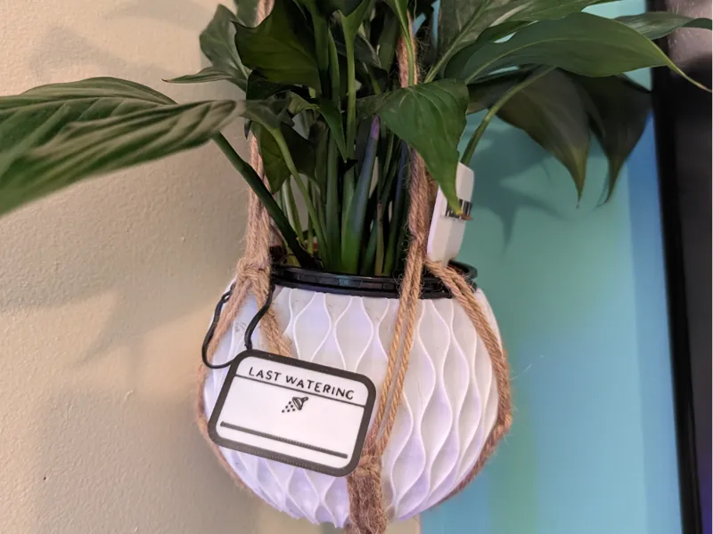 Last Watered Reminder Tag