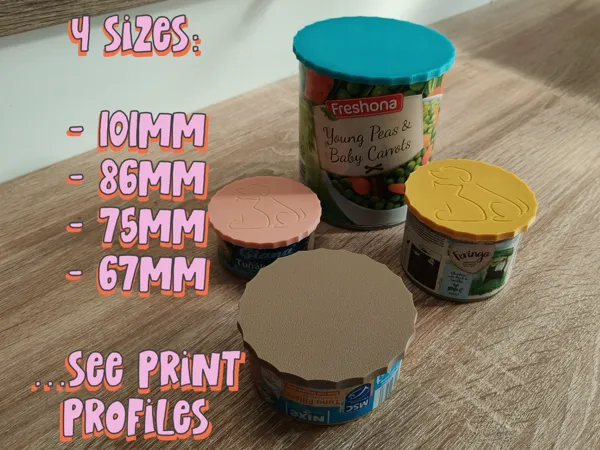 https://makerworld.bblmw.com/makerworld/model/US5b825299c72b1b/design/2025-03-10_c8fe70ac89598.jpg