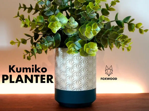 https://makerworld.bblmw.com/makerworld/model/US5b8626150b9511/design/2024-07-24_e7ba8a5785ef3.jpg