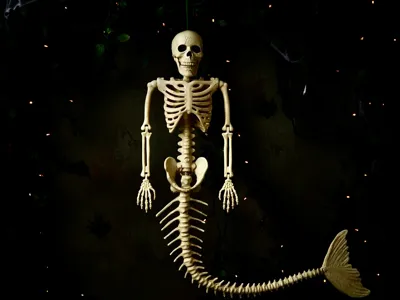 Mermaid skeleton figurine