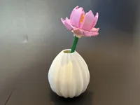 Only the egg